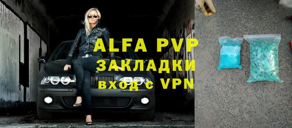 индика Елабуга