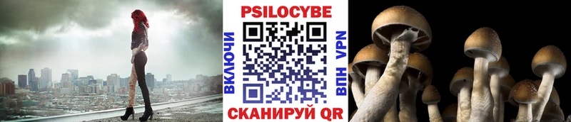 Галлюциногенные грибы Cubensis  купить   hydra как войти  Александров 